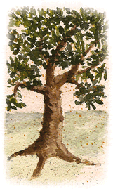 Watercolor of a Tree by Rossane